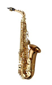 Yanagisawa AWO2 Alto Saxophone