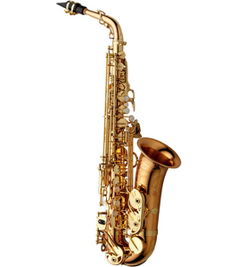 Yanagisawa AWO20 Alto Saxophone